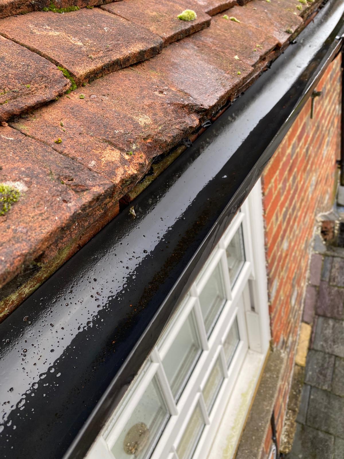 gutter cleared  - Thorpe Gutter Clearance is the solution!
